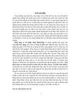 Giải pháp nâng cao hiệu quả đầu tư phát trìển tại Tổng công ty Cổ phần Sông Hồng