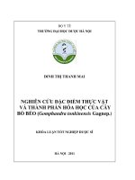 Nghiên cứu đặc điểm thực vật và thành phần hoá học của cây bổ béo ( gomphandra tonkinensis gagnep )