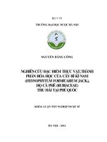 Nghiên cứu đặc điểm thực vật, thành phần hóa học của cây bí kì nam ( hydnophytum formicarium jack ), họ cà phê ( rubiaceae) thu hái tại phú quốc