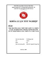 Thị trường dầu thô thế giới và chiến lược marketing trong kinh doanh xuất khẩu nhập khẩu dầu thô của việt nam 