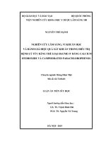 Nghiên cứu lâm sàng, vi khuẩn học và đánh giá hiệu quả sát khuẩn trong điều trị bệnh lý tủy răng thể loại Baume IV bằng calcium hydroxide và camphorated parachlorophenol