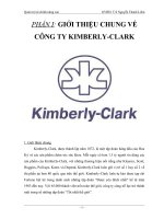quản trị tài chính công ty kimberly clark