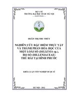 Nghiên cứu đặc điểm thực vật và thành phần hóa học của một loài sổ ( dillenia sp ) , họ sổ ( dilleniaceae) thu hái tại bình phước