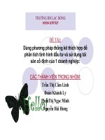 Dùng phương pháp thống kê thích hợp để phân tích tình hình đầu tư và sử dụng tài sản cố định của một doanh nghiệpc 