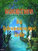 Bài giảng điện tử mầm non lớp Mầm đề tài Tập đếm và tạo nhóm trong phạm vi 5