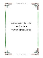 Tổng hợp tài liệu ngữ văn 9 tuyển sinh lớp 10