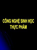 Bài giảng chương 1   công nghệ sinh học thực phẩm