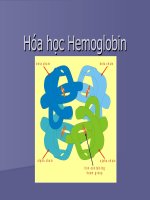 hóa học hb cho bác sỹ đa khoa 