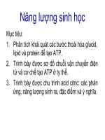 Bài giảng năng lượng sinh học cho BSĐK 