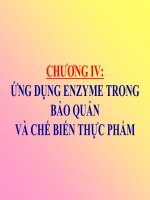 Bài giảng chương 4   ứng dụng enzyme trong bảo quản và chế biến thực phẩm