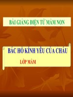Bài giảng điện tử mầm non lớp Mầm đề tài Bác Hồ kính yêu của cháu