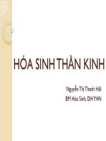 Bài giảng  hóa sinh thần kinh 