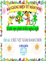 Bài giảng điện tử mầm non lớp Chồi đề tài Chú vịt xám ham chơi