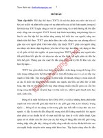 Nghiên cứu ứng dụng một số bài tập nâng cao hiệu quả ném rổ cho tiền phong đội tuyển bóng rổ nam trường đh TDTT bắc ninh