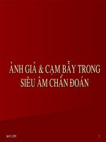 ảnh giả và cạm bẫy trong siêu âm chẩn đoán