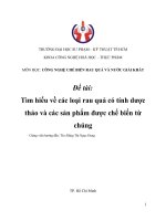 Tìm hiểu về các loại rau quả có tính dược thảo và các sản phẩm được chế biến từ chúng