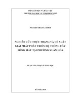 Nghiên cứu thực trạng và đề xuất giải pháp phát triển hệ thống cây bóng mát tại phường xuân hòa (LV1217)