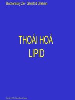 Bài giảng thoai hoá lipid 