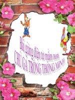Bài giảng điện tử mầm non lớp Mầm đề tài Chú gà trống thông minh