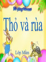 Bài giảng điện tử mầm non lớp Mầm đề tài Thỏ và rùa