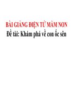 Bài giảng điện tử mầm non lớp Mầm đề tài Khám phá về con ốc sên