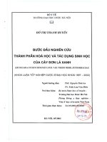 Bước đầu nghiên cứu thành phần hóa học và tác dụng sinh học của cây đơn lá xanh