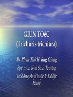 bài giảng ký sinh trùng  giun tóc 