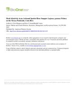 Hook selectivity in an artisanal spotted rose snapper lutjanus guttatus fishery on the nicoya peninsula, costa rica