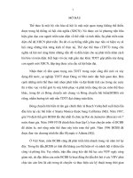 Nghiên cứu ứng dụng bài tập phát triển sức bền chuyên môn cho đội tuyển nữ bóng chuyền bãi biển thành phố hải phòng