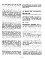 Harrison TapIII bệnh tim bẩm sinh ở người lớn 