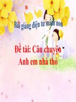 Bài giảng điện tử mầm non lớp Mầm đề tài Câu chuyện anh em nhà thỏ