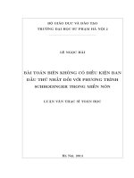 Bài toán biên không có điều kiện ban đầu thứ nhất đối với phương trình schrodinger trong miền nón (LV01229)