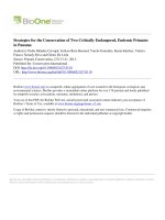 Strategies for the conservation of two critically endangered, endemic primates in panama