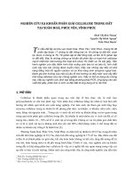 Nghiên cứu xạ khuẩn phân giải cellulose trong đất tại xuân hoà, phúc yên, vĩnh phúc