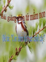 Bài giảng điện tử mầm non lớp Mầm đề tài Con chim hót trên cành cây
