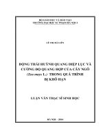 Động thái huỳnh quang diệp lục và cường độ quang hợp của cây ngô (zea mays l ) trong quá trình bị khô hạn