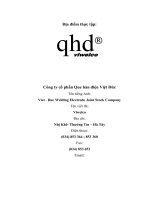 Giải pháp marketing mix giúp công ty cp que hàn điện việt   đức thúc đẩy doanh số tiêu thụ