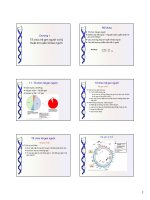 Nghiên cứu nhiễm sắc thể người