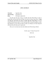 Nâng cao năng lực cạnh tranh của công ty cổ phần Tập đoàn Nhựa Đông Á