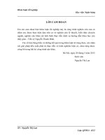 Giải pháp marketing nhằm đẩy mạnh hoạt động kinh doanh tại Công ty cổ phần Sản xuất và Thương mại Không Gian Việt