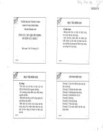 Slide vật liệu xây dựng tô hương chi