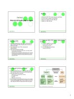 Phân tích di truyền phân tử người