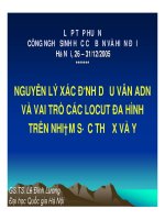 NGUYÊN LÝ XÁC ĐỊNH DẤU VÂN ADN VÀ VAI TRÒ CÁC LOCUT ĐA HÌNH TRÊN NHIỄM SẮC THỂ X VÀ Y