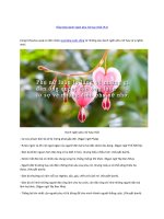 Tổng hợp danh ngôn phụ nữ hay nhất