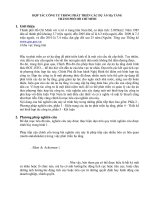 Hợp tác công tư trong phát triển các dự án hạ tầng thành phố HCM