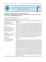 Hiệu quả của phân hữu cơ bùn cống thu gom trồng thử nghiệm trên rau xà lách tại vùng ven thành phố cần thơ 