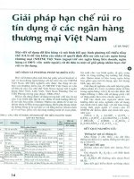 Giải pháp hạn chế rủi ro tín dụng ở các ngân hàng thương mại việt nam 