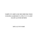 NGHIÊN CỨU CHIẾN LƯỢC PHÂN PHỐI THỰC PHẨM TƯƠI SỐNG SAGRIFOOD CỦA CÔNG TY CN VÀ CBTP SÀI GÒN TẠI TP HỒ CHÍ MINH