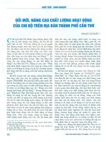 Đổi mới, nâng cao chất lượng hoạt động của chi bộ trên địa bàn thành phố cần thơ 