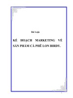 Kế hoạch marketing sản phẩm cafe lon birdy